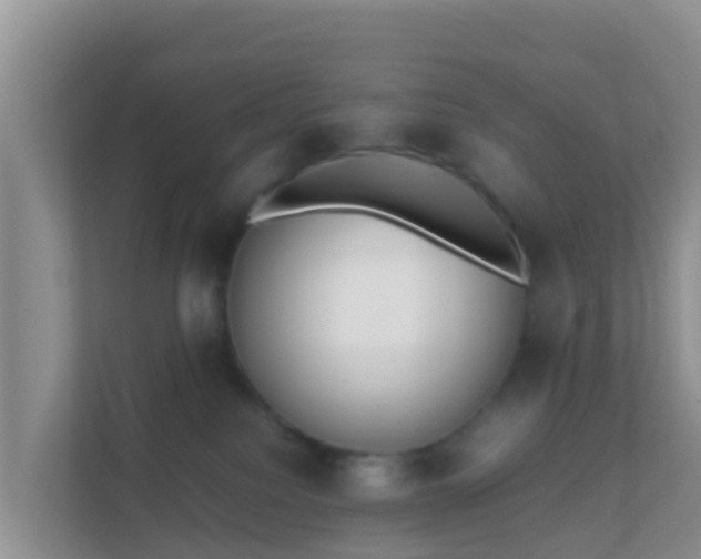 X0000111650088200907241140