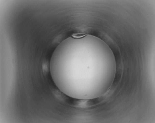 X0000111650090200907241140
