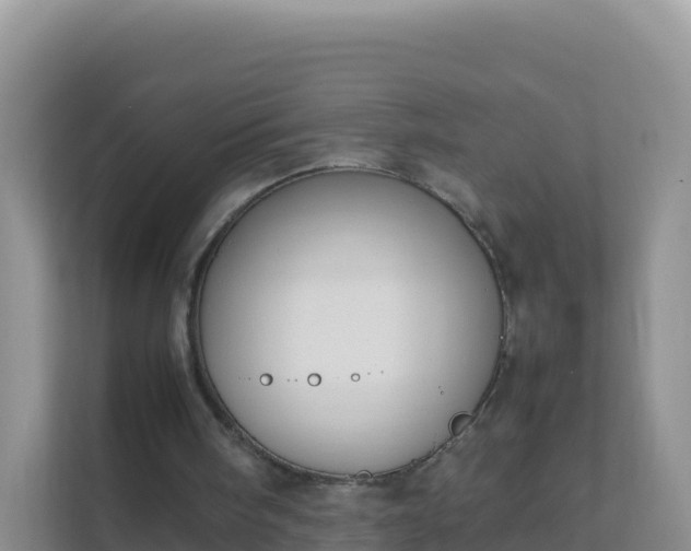 X0000111650098200907241139