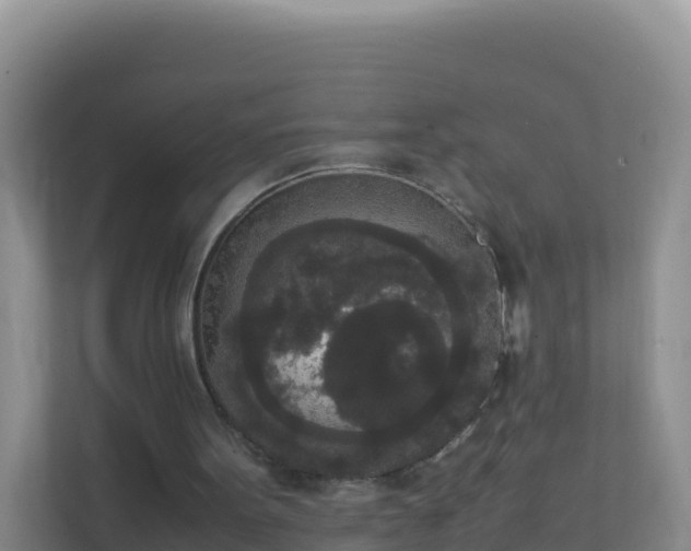 X0000111650099200907241139