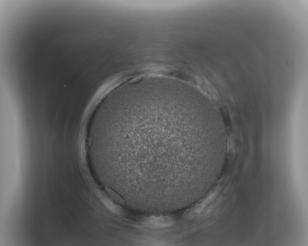 X0000111650101200907241139