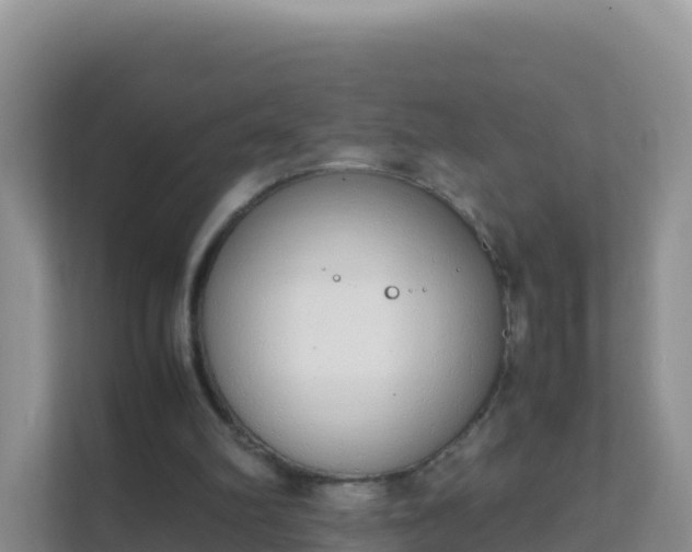 X0000111650102200907241139