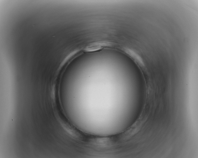 X0000111650108200907241139