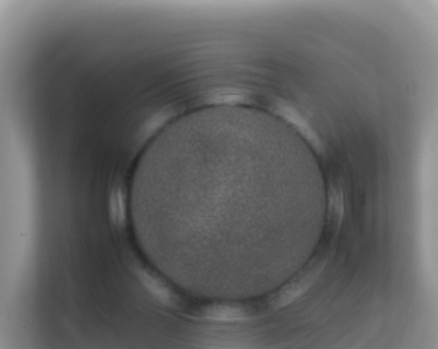 X0000111650110200907241139