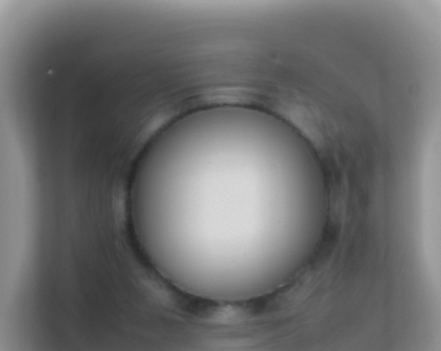 X0000111650111200907241139