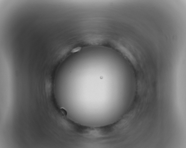 X0000111650113200907241139