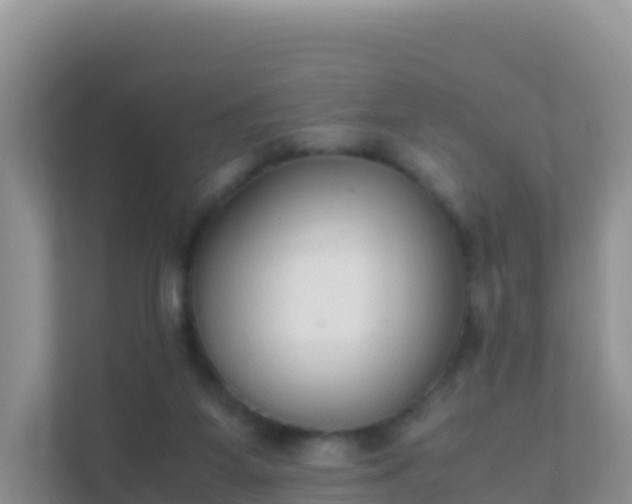 X0000111650115200907241139