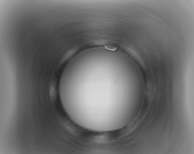 X0000111650116200907241139