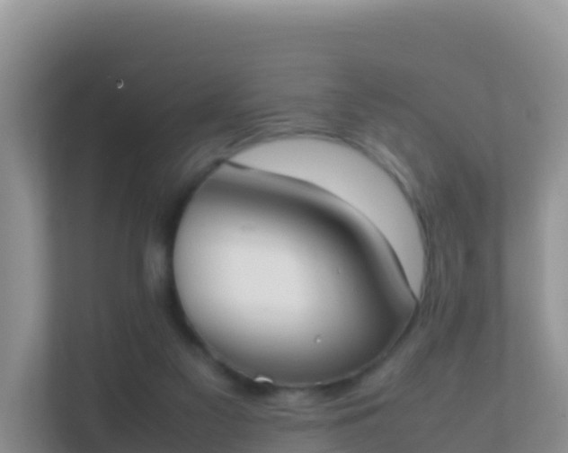 X0000111650117200907241139