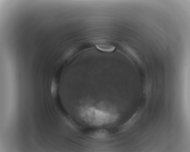 X0000111650124200907241139