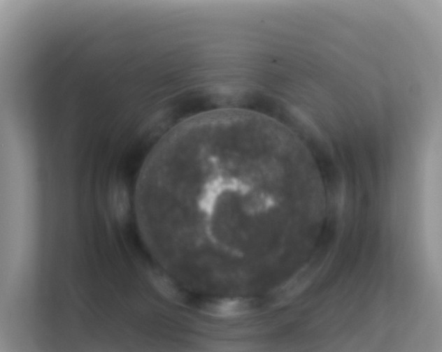 X0000111650130200907241139