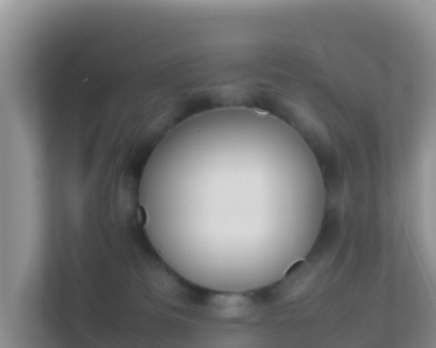X0000111650133200907241139
