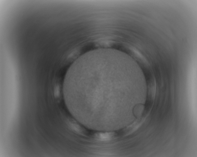 X0000111650134200907241139