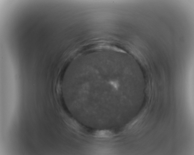 X0000111650137200907241139