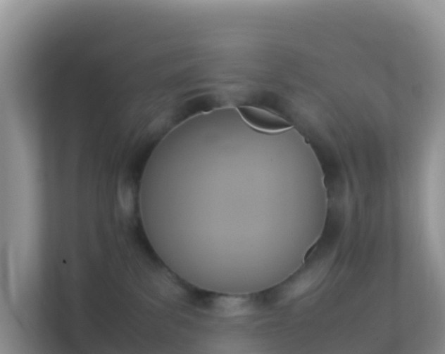 X0000111650139200907241139