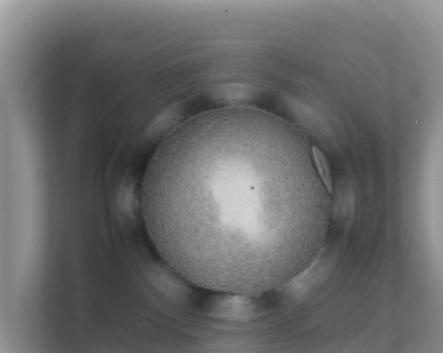 X0000111650140200907241139