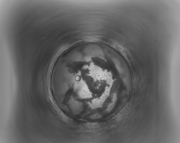 X0000111650145200907241138