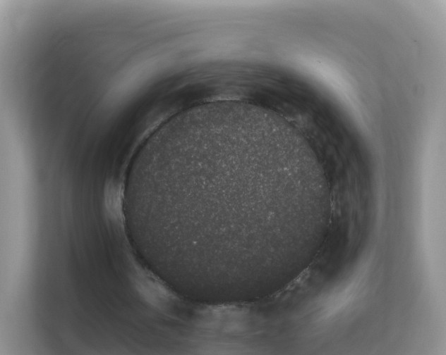 X0000111650146200907241138