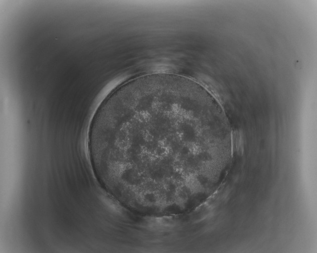 X0000111650147200907241138