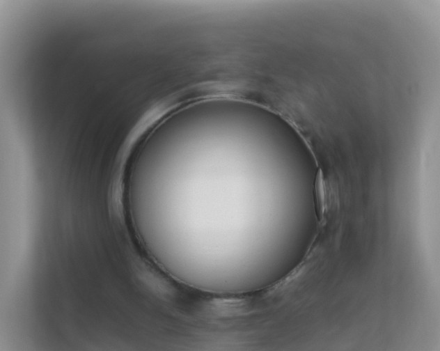 X0000111650150200907241138