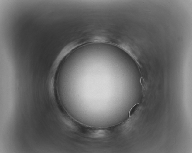 X0000111650151200907241138