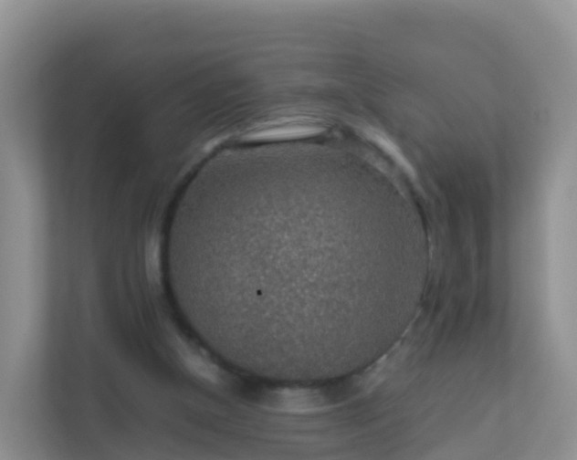 X0000111650154200907241138