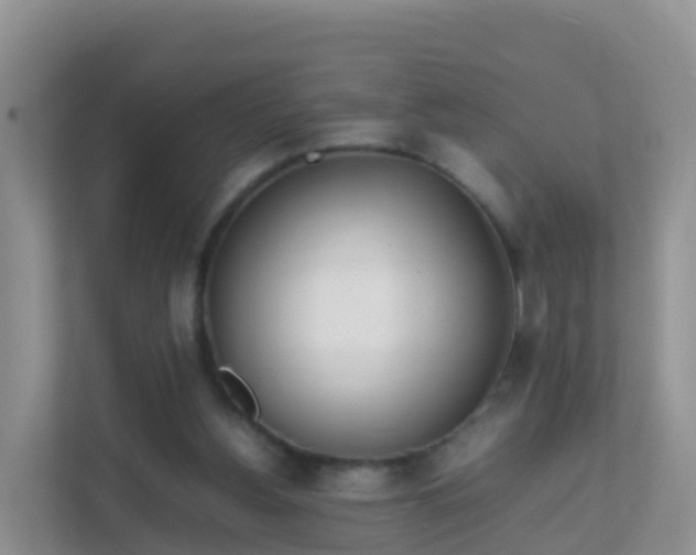 X0000111650156200907241138
