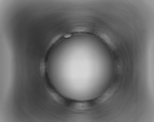 X0000111650160200907241138