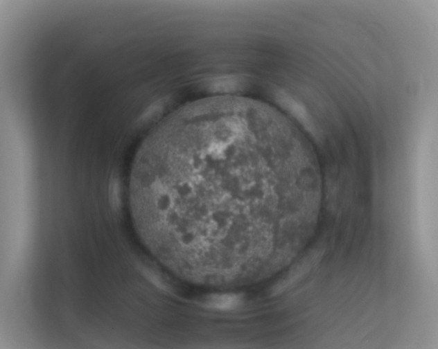 X0000111650161200907241138