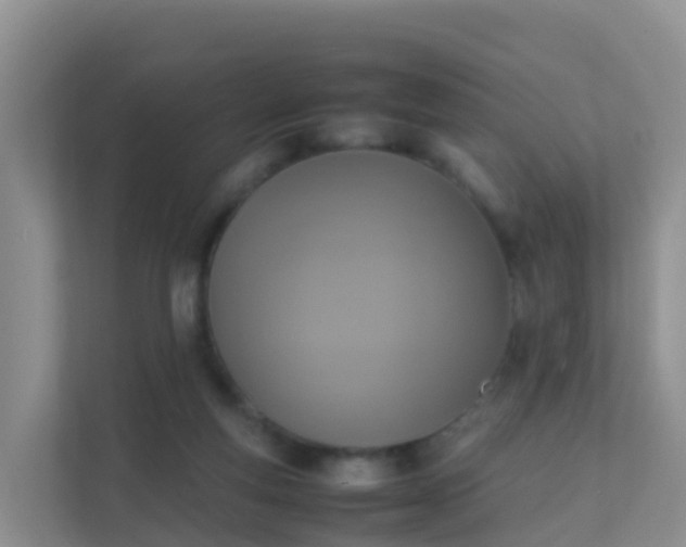 X0000111650163200907241138