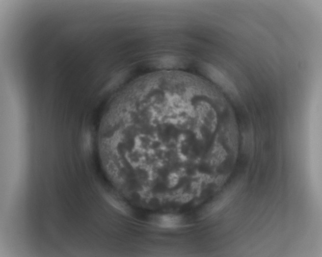 X0000111650165200907241138