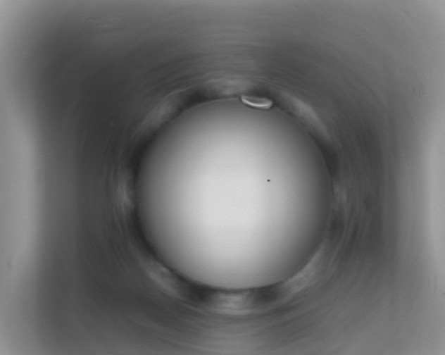 X0000111650170200907241138