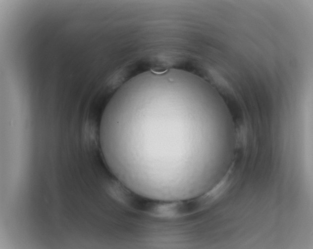 X0000111650178200907241139