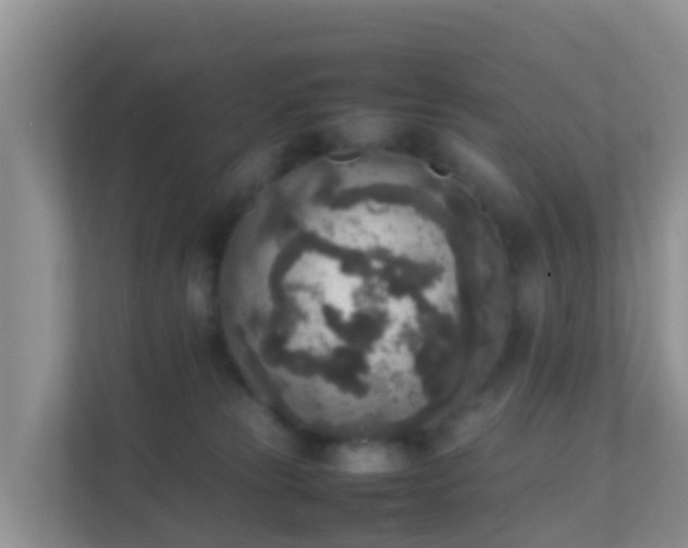 X0000111650181200907241139