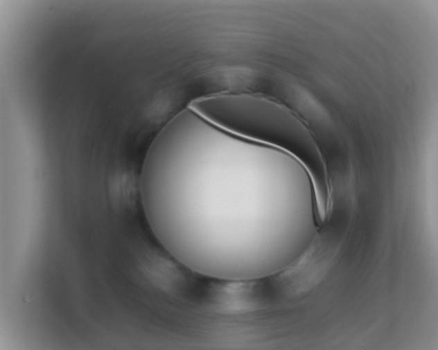 X0000111650184200907241139