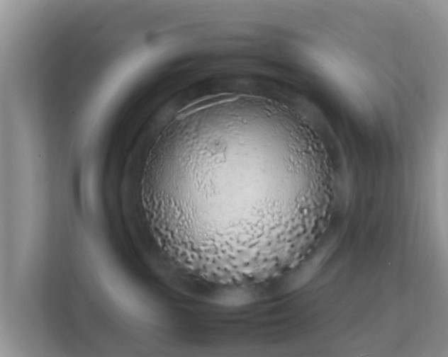 X0000111650189200907241139