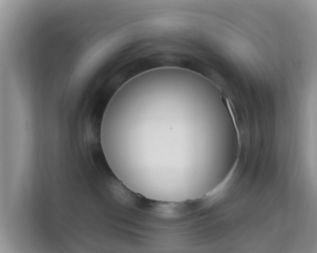 X0000111650190200907241139