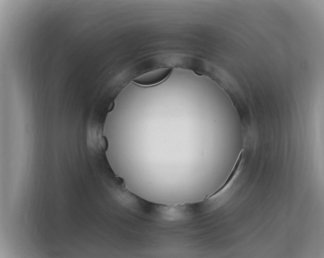 X0000111650191200907241139