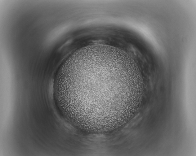 X0000111650194200907241138