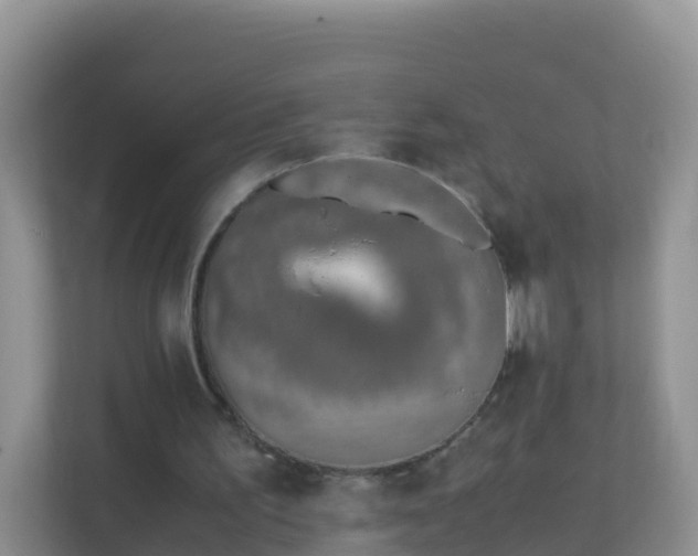 X0000111650195200907241138