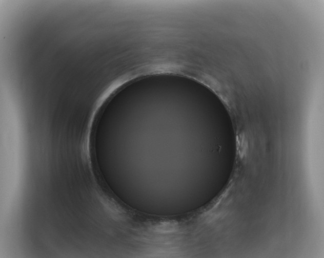 X0000111650196200907241138