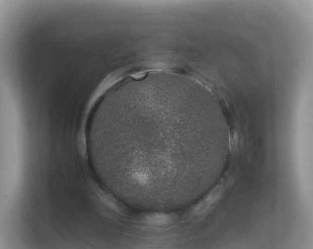 X0000111650198200907241138