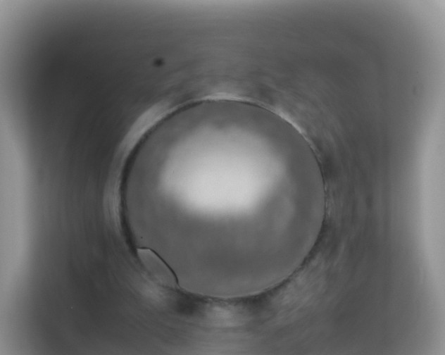 X0000111650199200907241138