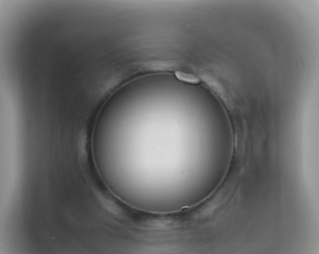 X0000111650201200907241138