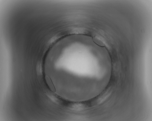 X0000111650203200907241138