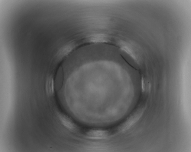 X0000111650205200907241138