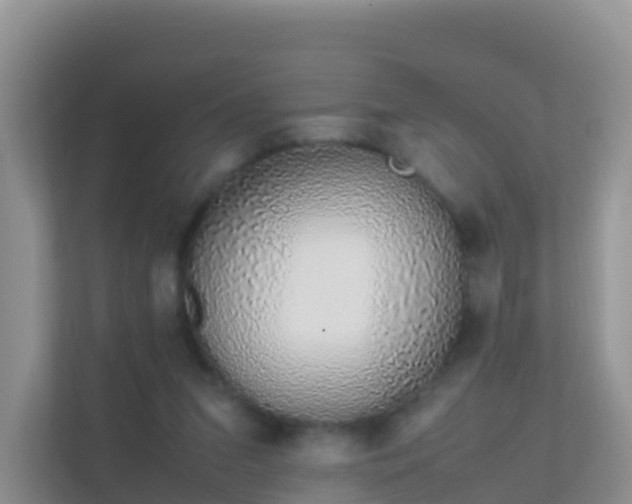 X0000111650207200907241138