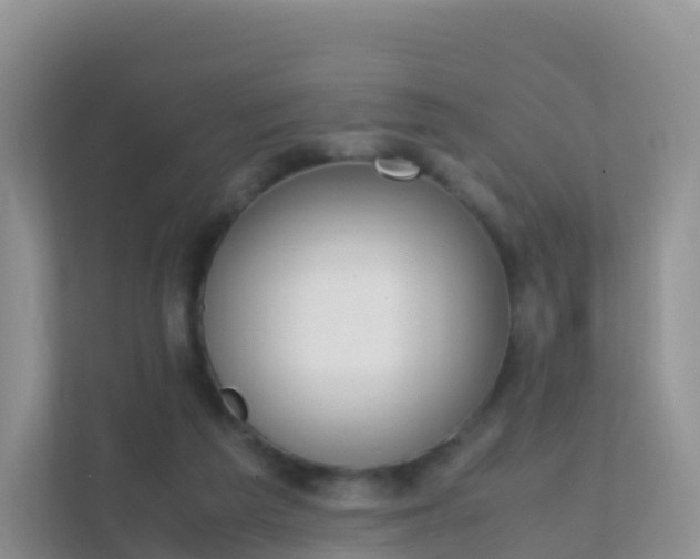 X0000111650209200907241138