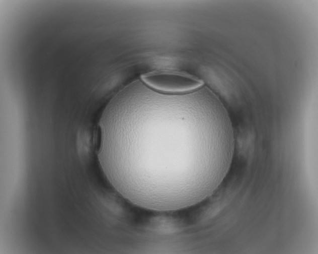 X0000111650211200907241138