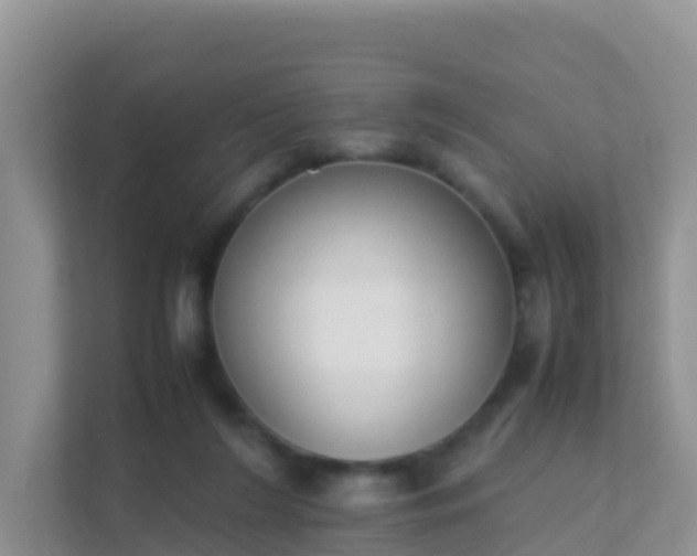 X0000111650212200907241138